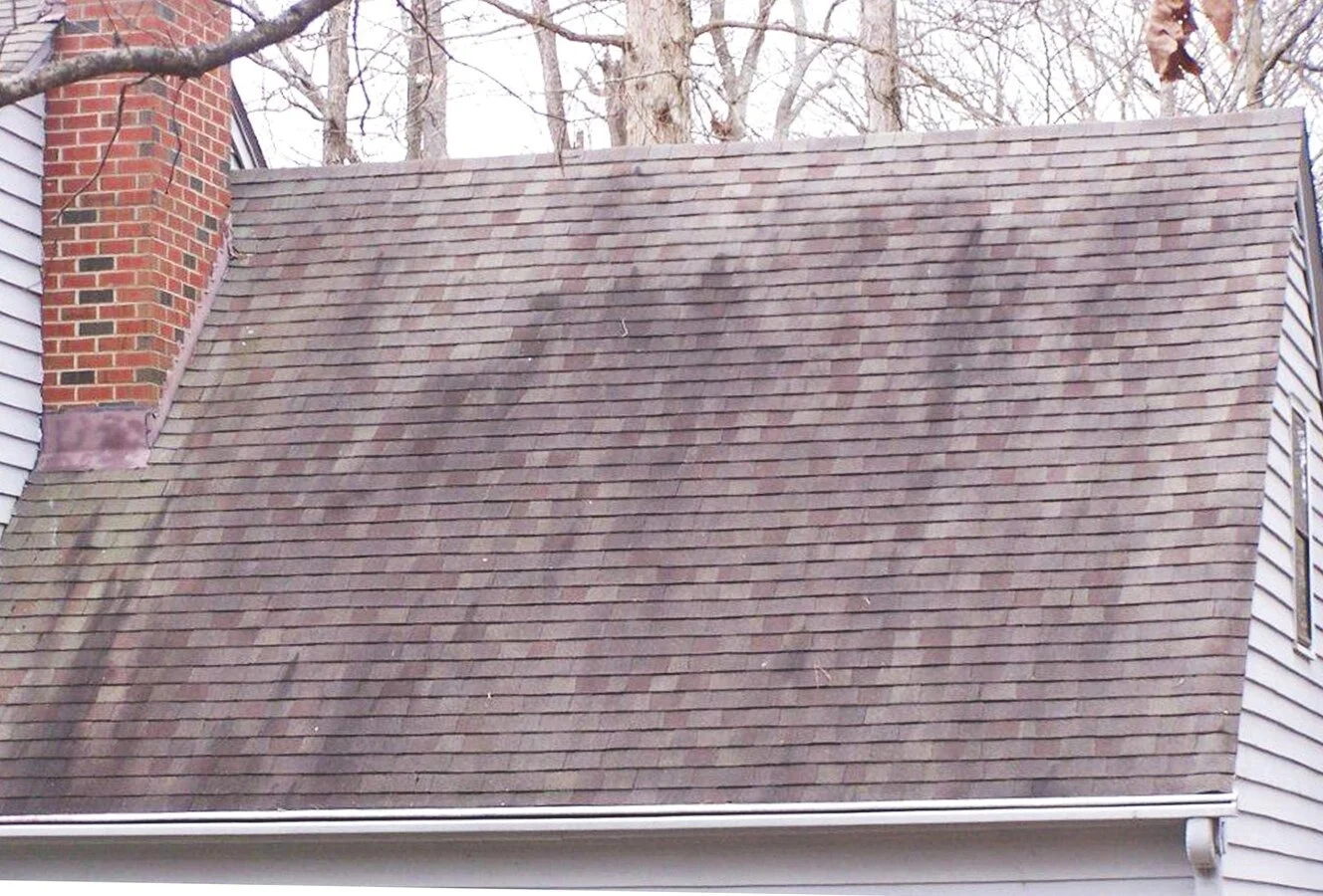 Do You Need Your Roof Cleaned?