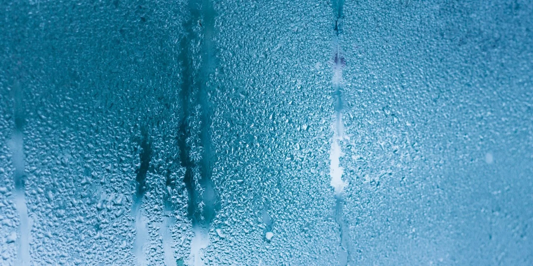 Keep Your Home Mold Free This Summer