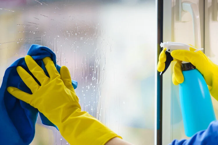 10 Easy Tips To Keep Windows Clean and Streak-Free
