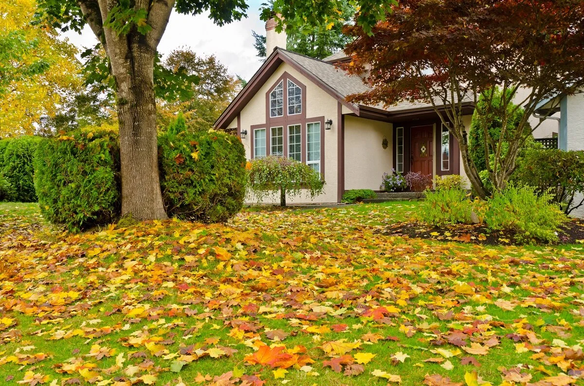 Fall Home Maintenance to Tackle in September