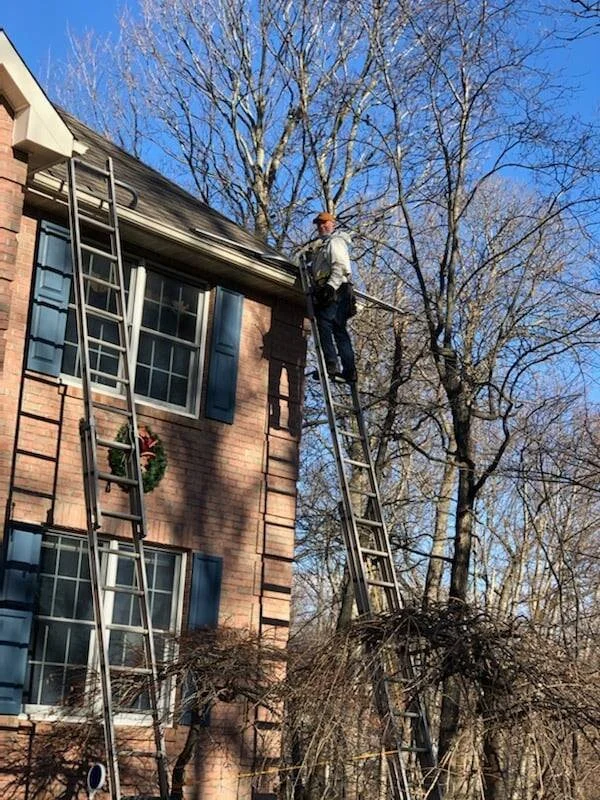 Find The Right Pro for the Job