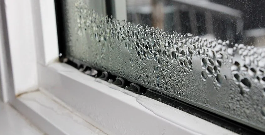 Keep Humidity Away From Your Home This Summer