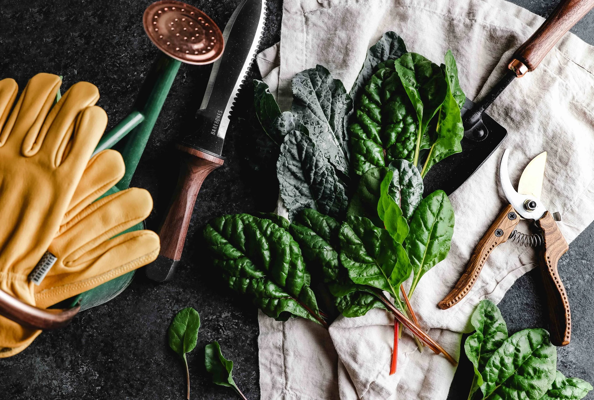 Plant Now for A Thriving Fall Garden