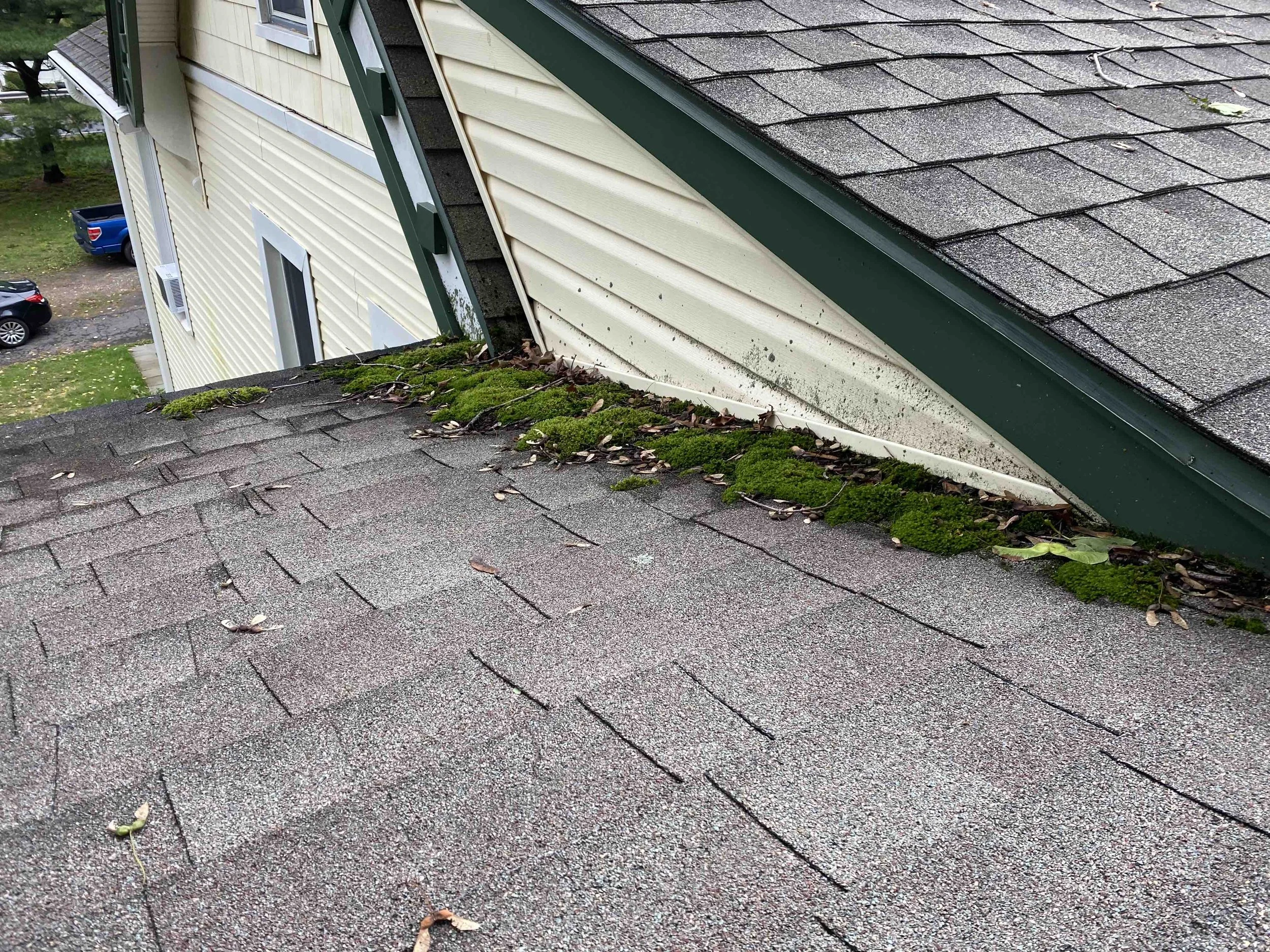 Battling Mold on Your Roof