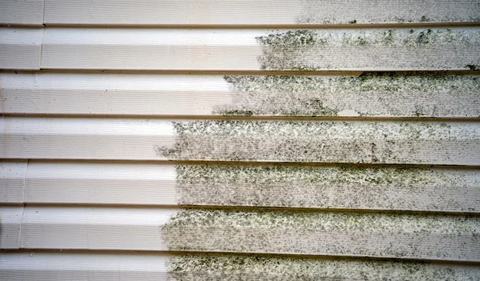 How To Treat Mold on Siding