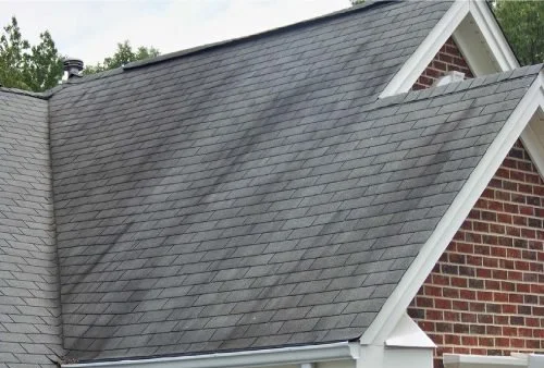 Signs You Need A Roof Cleaning