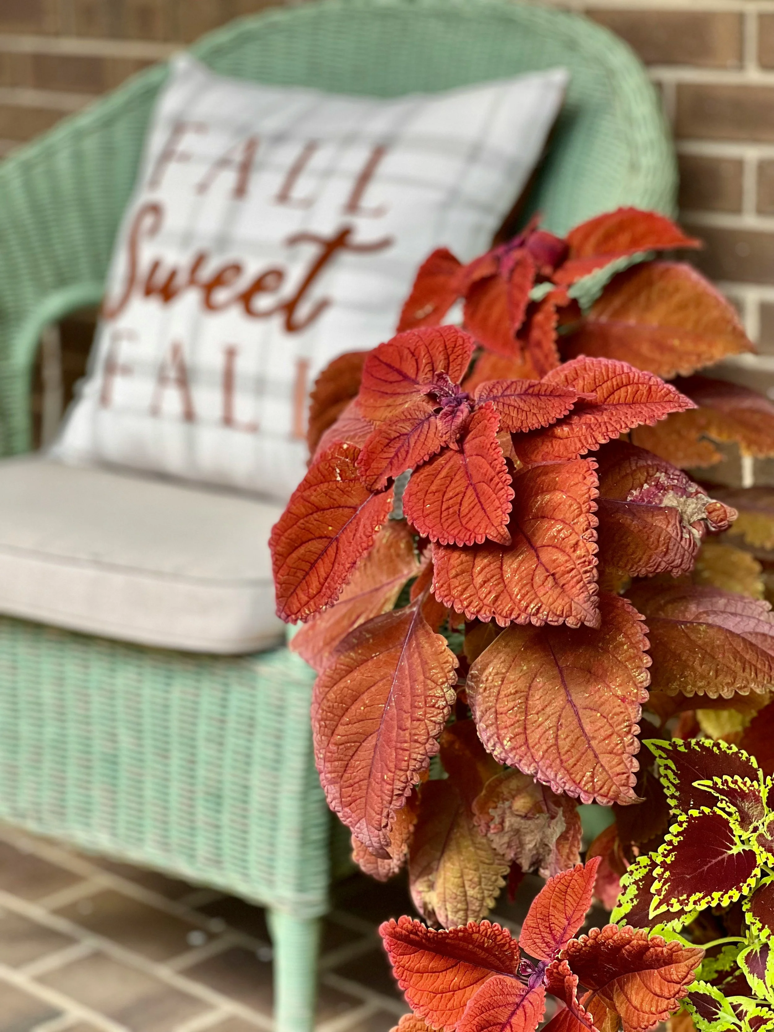 Spruce Up Your Front Porch on a Budget
