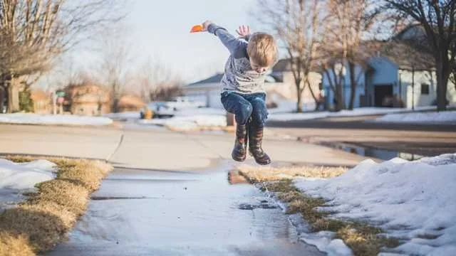 The Great Thaw, A Homeowners Guide