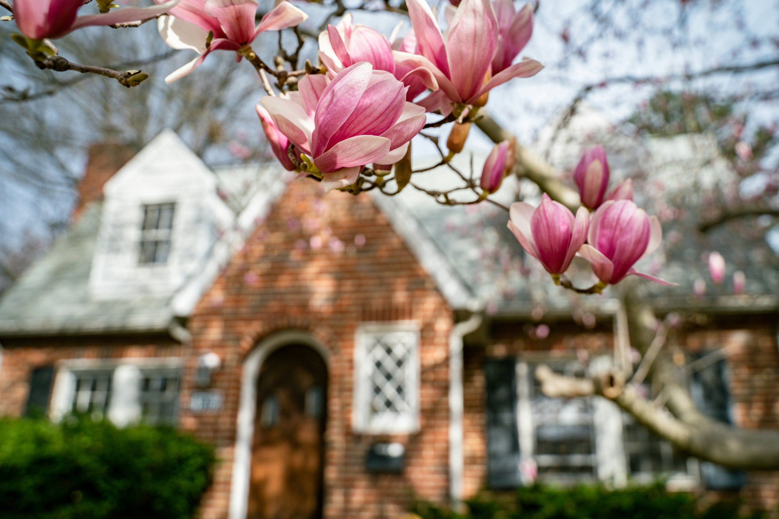 Six Spring Home Tasks You Can Start Now