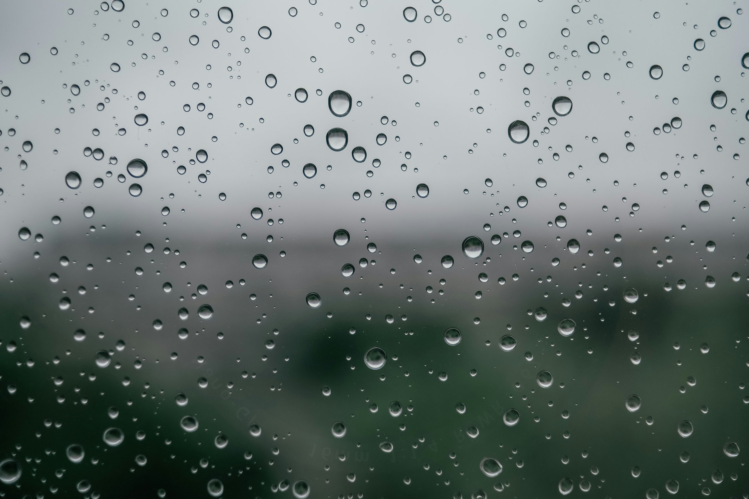 Spring Moisture and Mold Season