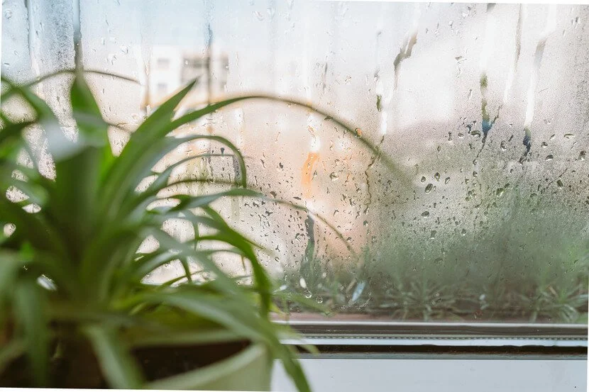Summer Humidity Problems Nobody Talks About