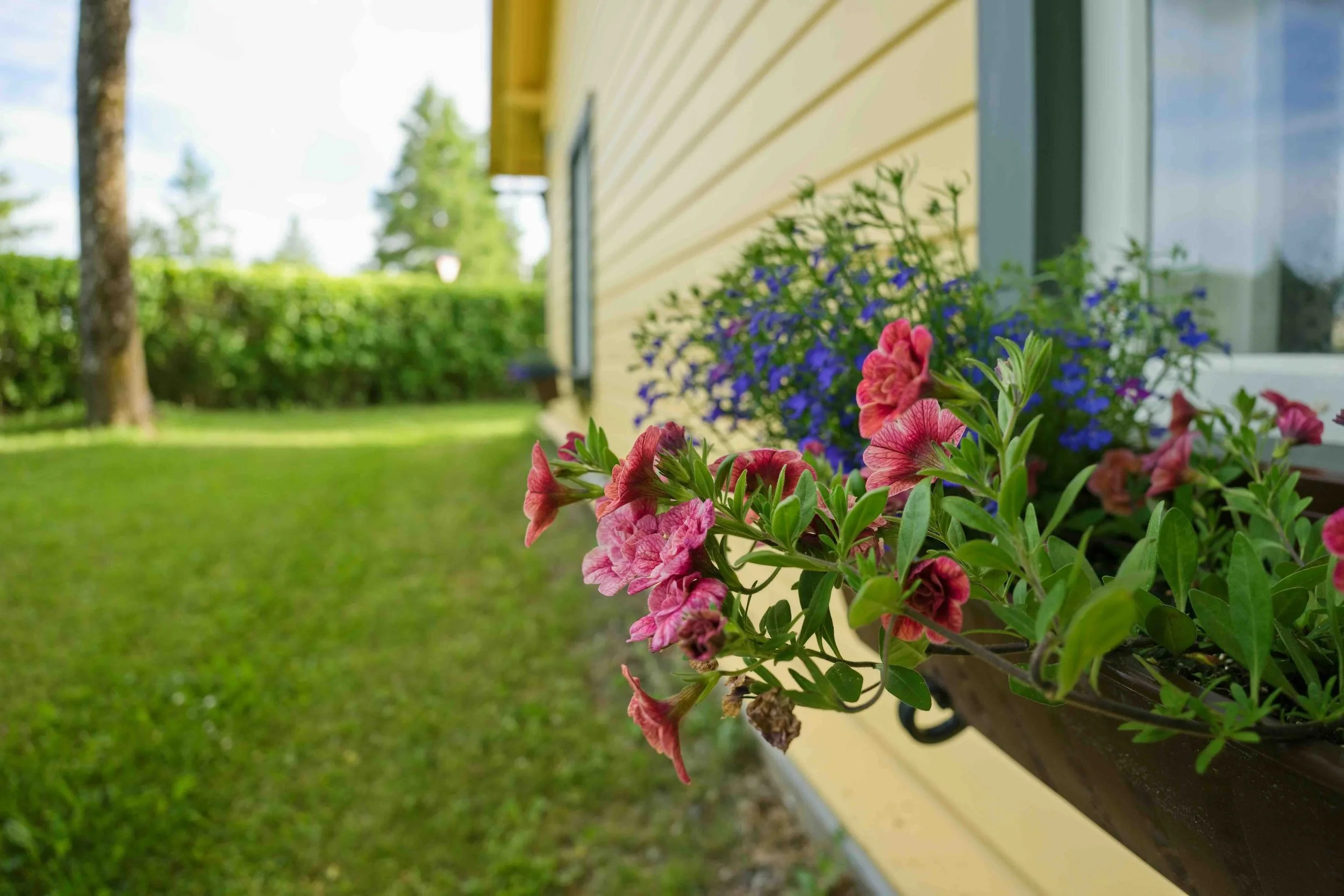 10 Easy Summer Projects That Instantly Boost Curb Appeal