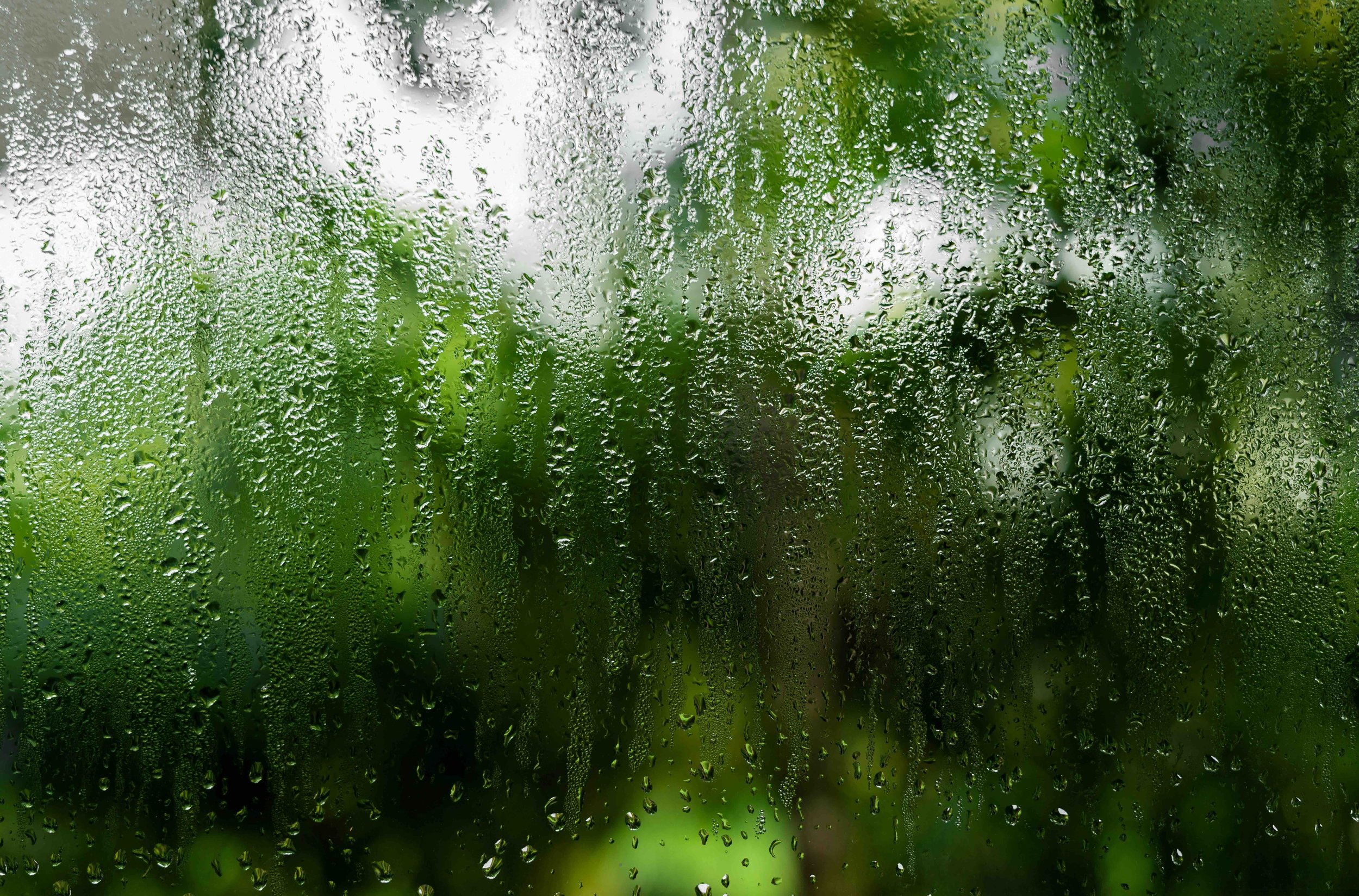 This Week’s Heat Wave Has Your Windows Sweating