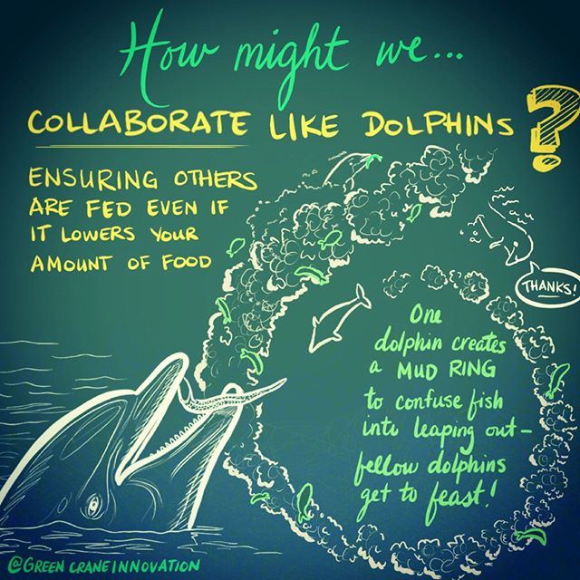 Biomimicry Design + Inktober! Mud rings = Dolphins as great collaborators. #inktober2019 Day 001: RING 
#biomimicry #inktober #biomimicrydesign #designthinking #howmightwe #collaborate #collaboration #dolphins #nature #problemsolving #climatestrike #