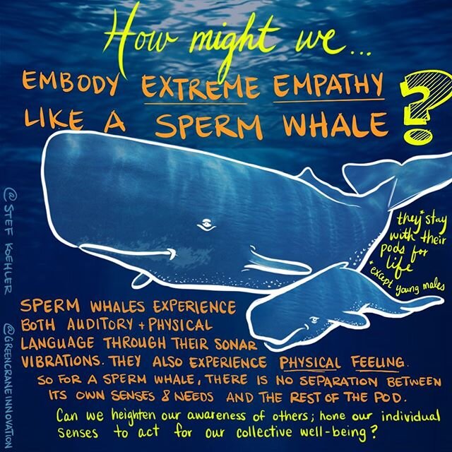 Happy Earth Life! Sperm whales are teaching us a lesson for Earth Day and every day about having a communal self&mdash; are they smarter than humans? .
.
Sporting the largest brains of any animal, they have a social communication system that humans h