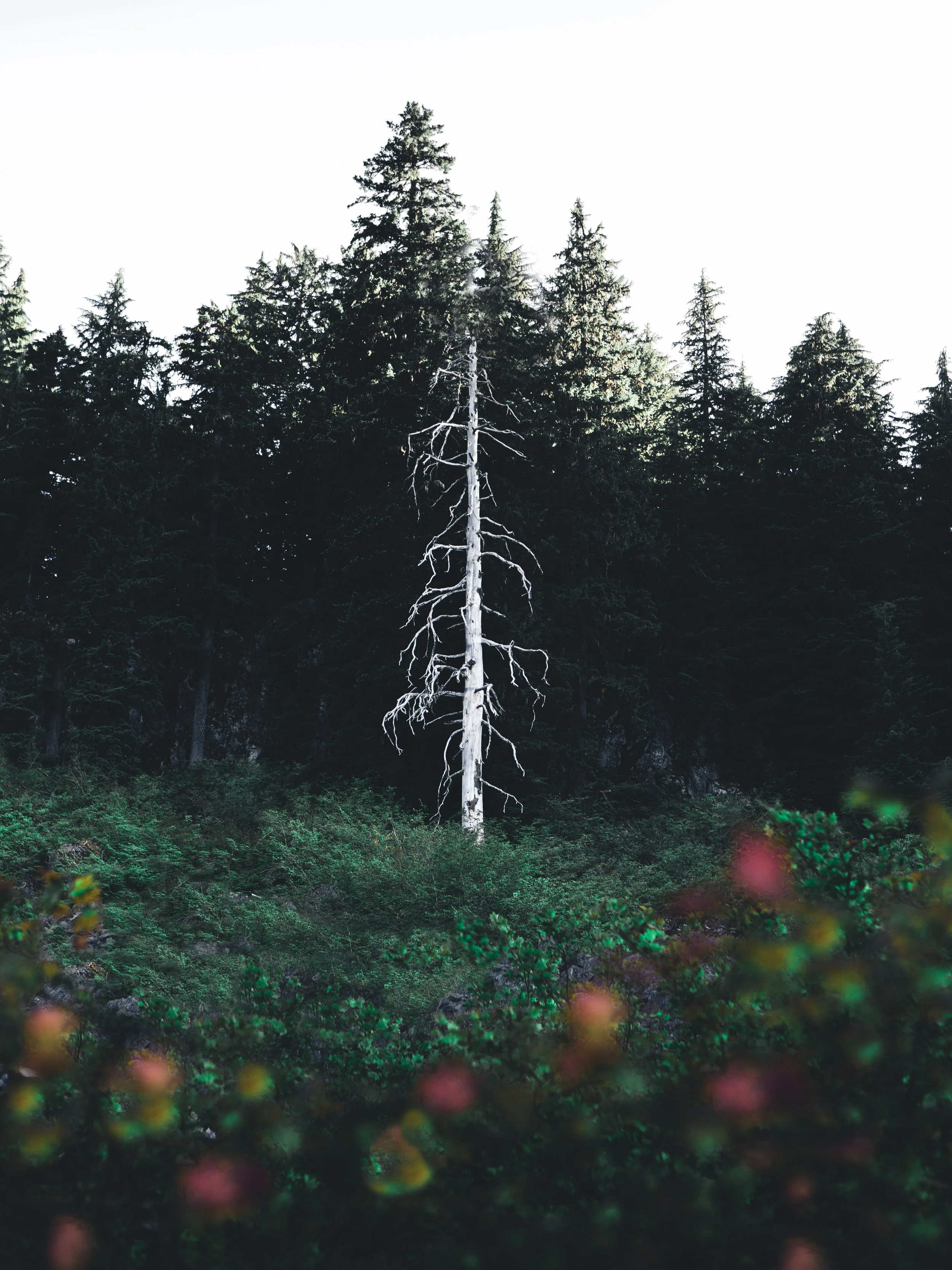 _E9A0299-Edit.jpg
