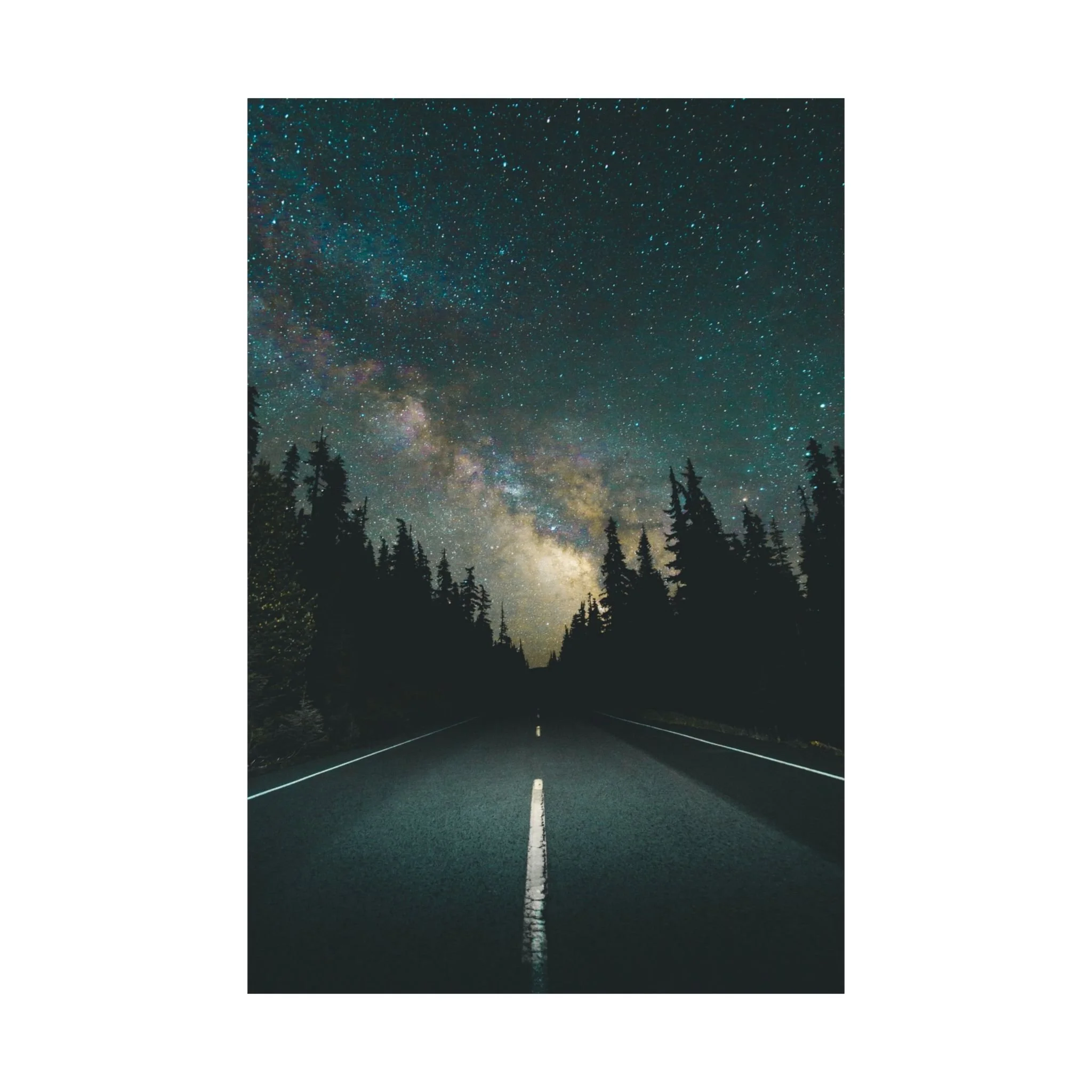 1877a2640dc5a2a64f72d08524d610c4