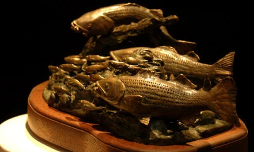 Fish_B_02_72.jpg