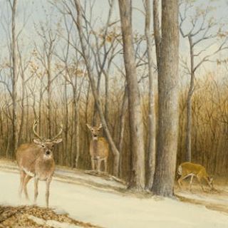 &quot;Opening Day,&quot; painted for The Nature Conservancy. Available for purchase through the link in profile. #nature #outdoors #conservancy #deer #longisland #thehamptons #hamptons #painting #art #artist