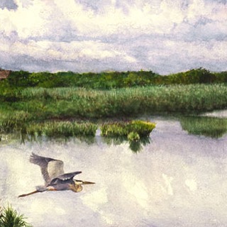 Hook Pond Heron (East Hampton, NY). Available for purchase on website--link in profile!