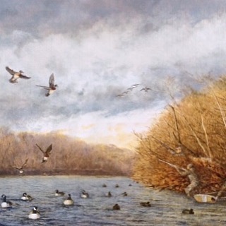 &quot;This painting depicts a tandem pair of Wood Ducks committed over a mixed rig of Goose and Mallard decoys. Both Gunners are up and ready to start the day with four in the bag; and with an oncoming string of Canada geese just out of eyesight, ano