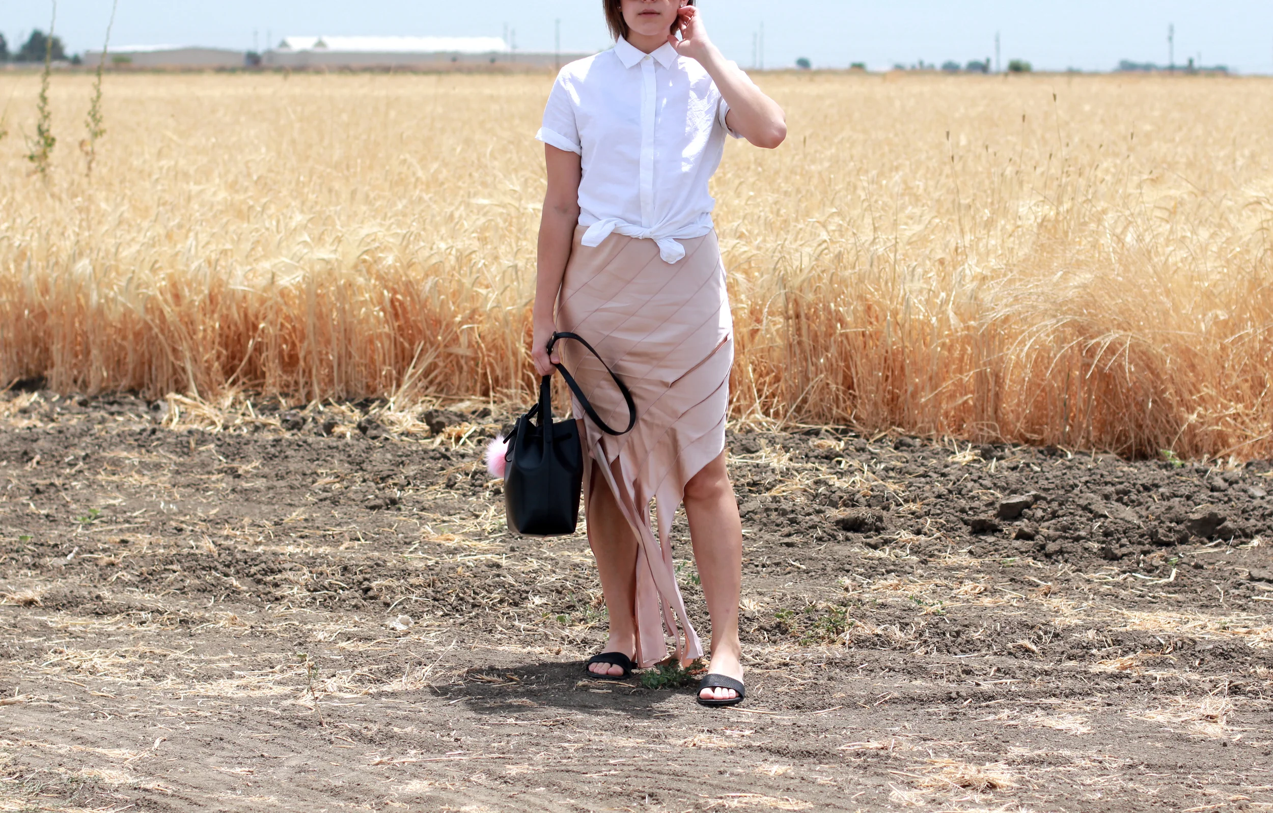 twelveofour-blush-alexander-wang-everlane-IMG_8028.jpg