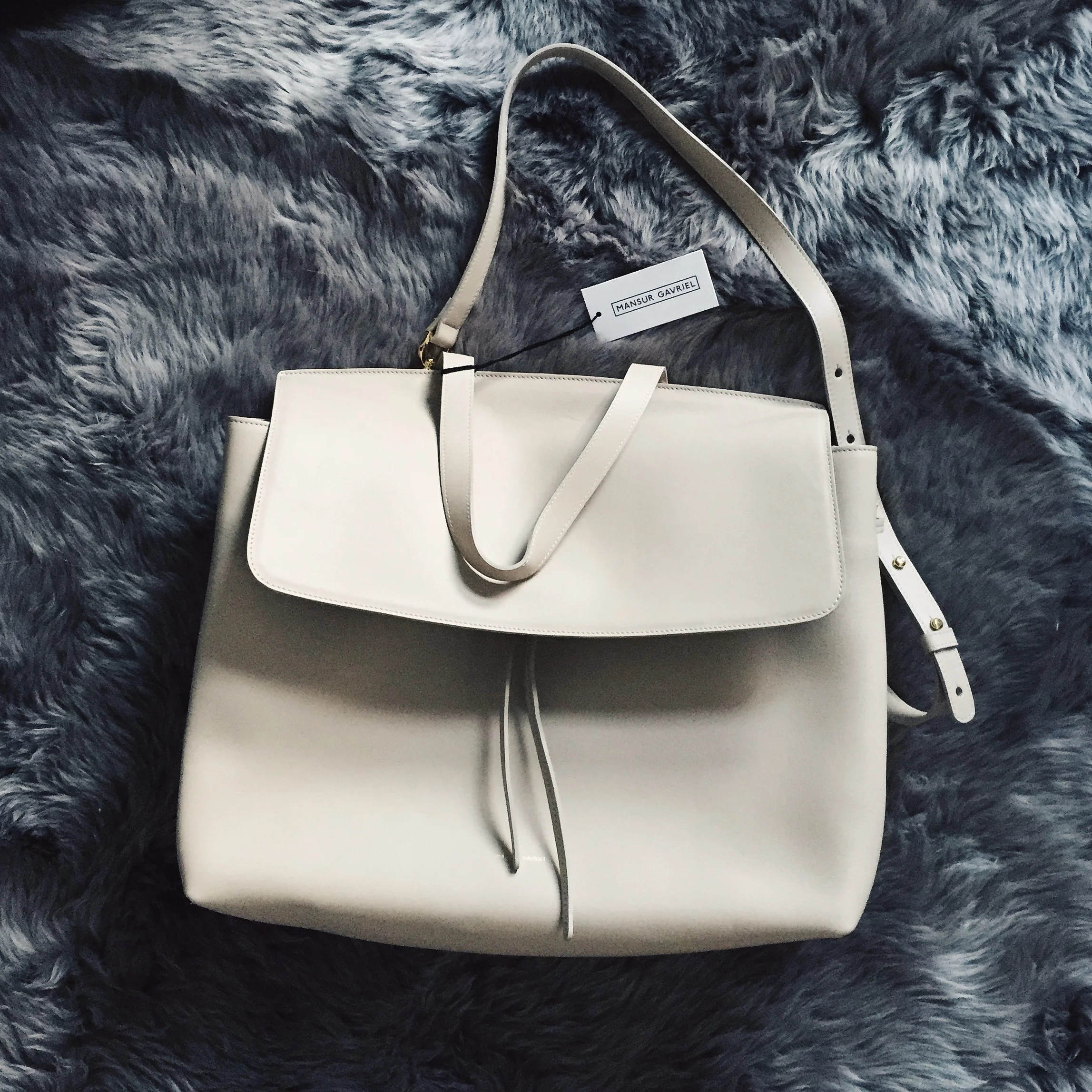 Soft Lady Bag Mansur Gavriel Mini Protea Bag Review Mansur Gavriel