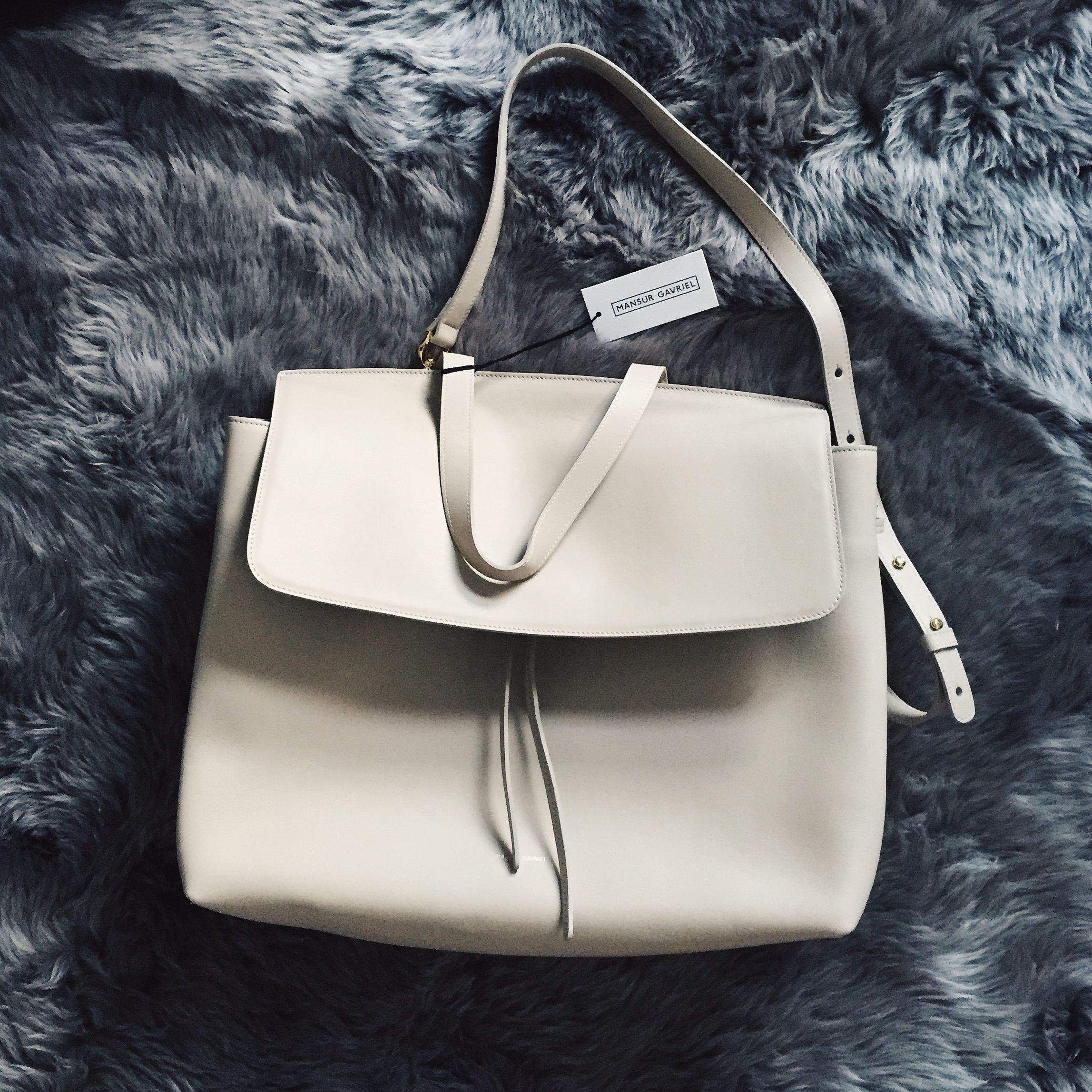 Soft Lady Bag Mansur Gavriel Mini Protea Bag Review Mansur Gavriel