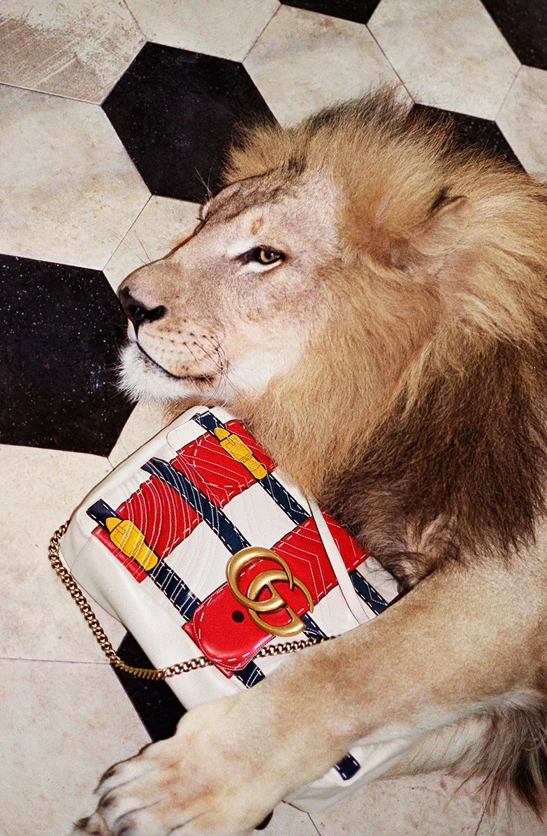 1196342.jpg