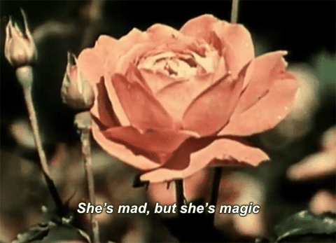 tumblr_obceco4VaB1qdoji0o1_500.gif