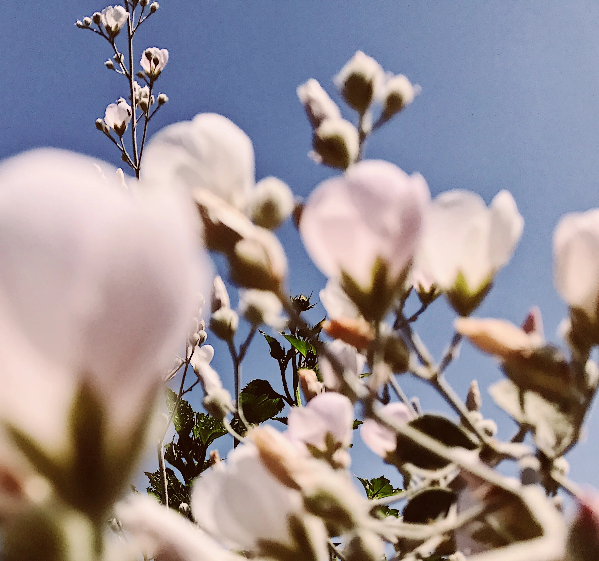 vsco-photo-4.jpg