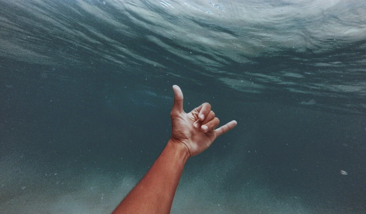 tumblr_o6o943NWrE1ut2x3co1_1280.jpg