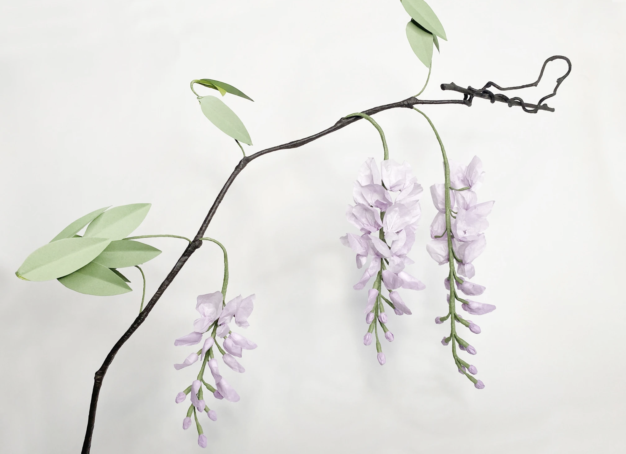 Screen Shot 2020-12-19 at 9.57.26 PM.png