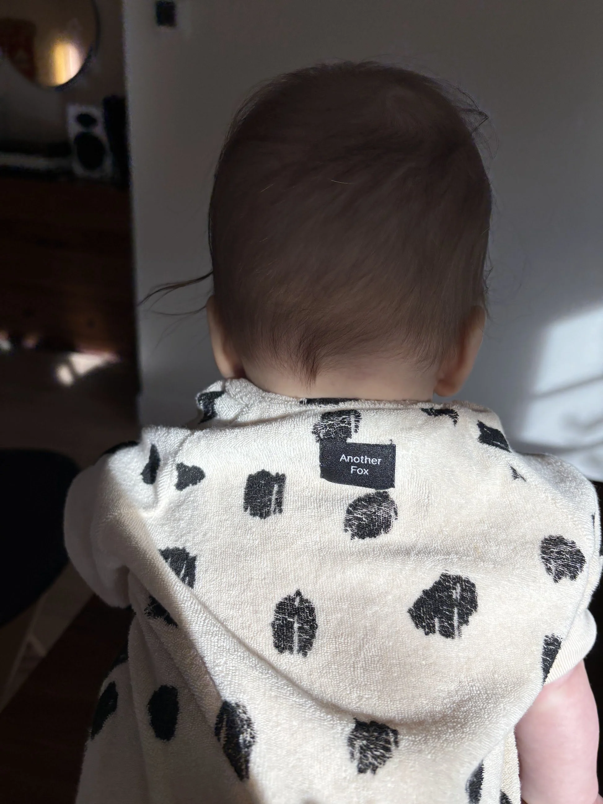 lucas fox twelveoour 2025.jpg