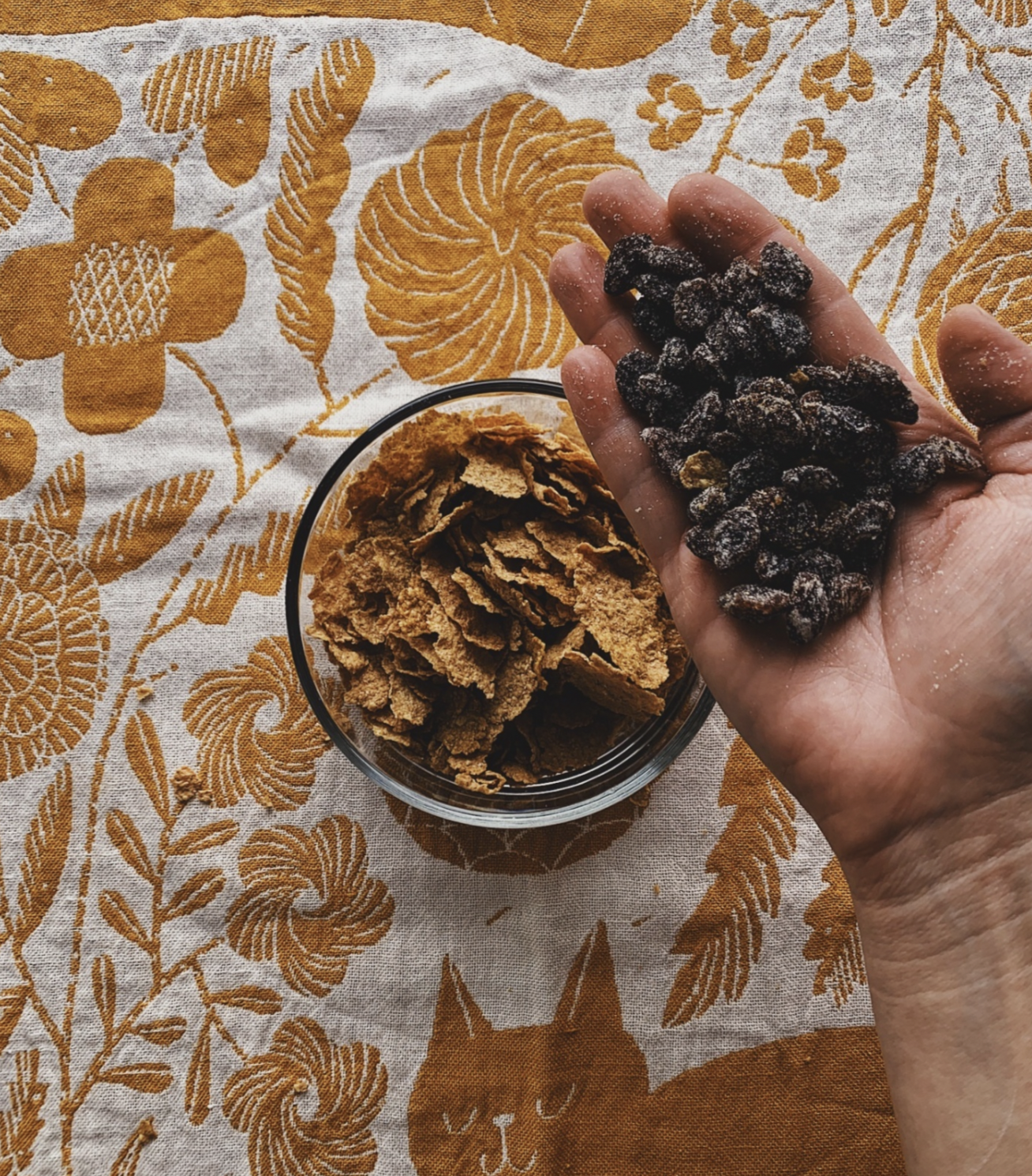 bran without the raisins