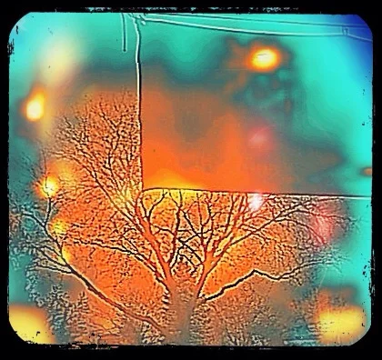 Infrared thermal cemetery
