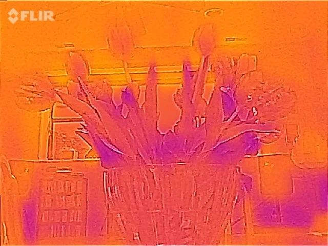 Flir ONE flowers: 80 x 60