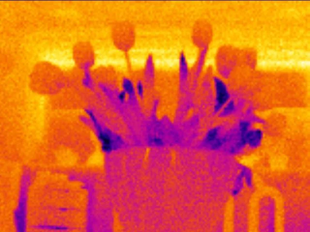 Fluke TiR110 flowers: 160 x 120