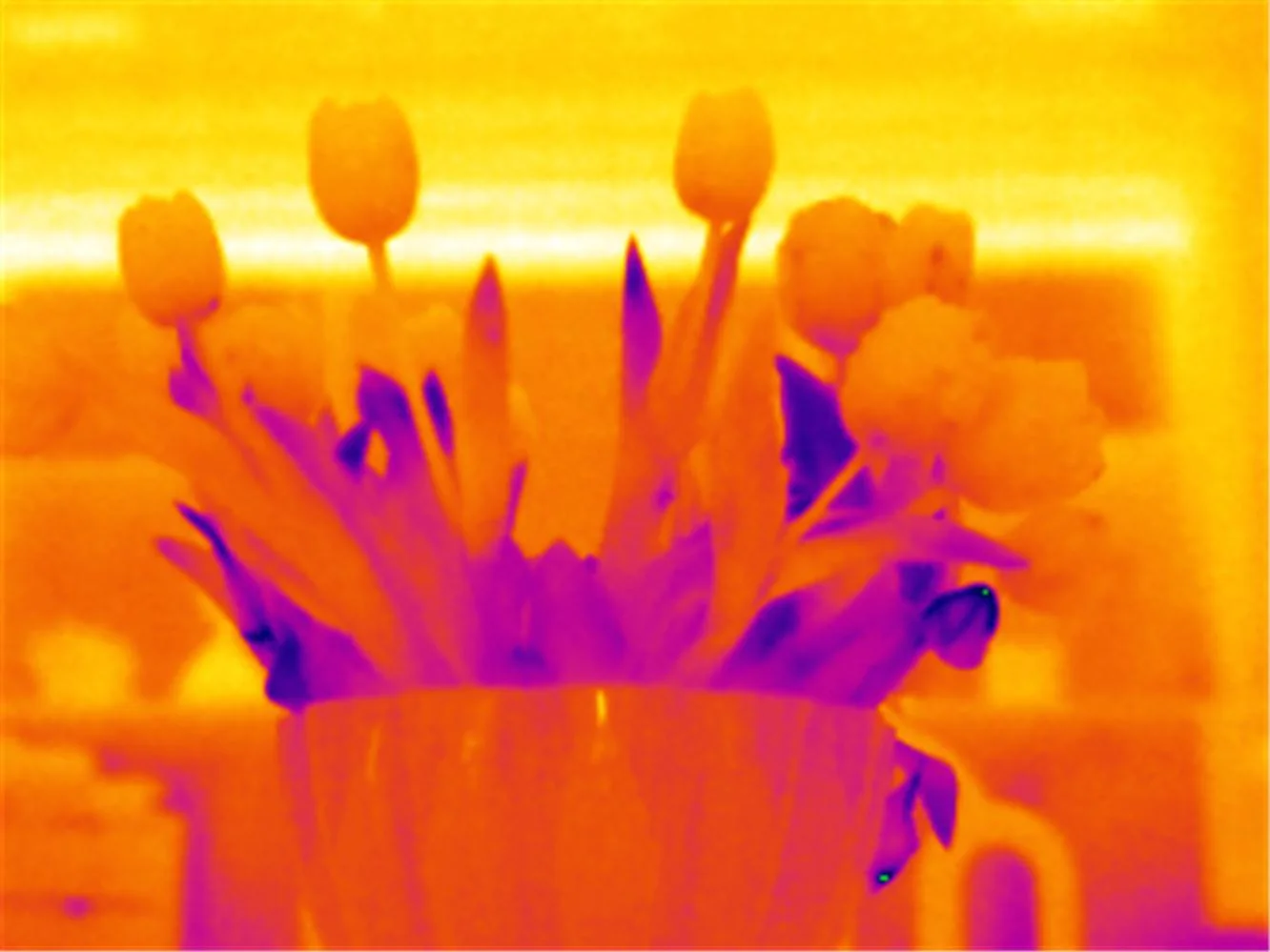 Which Infrared Thermal Camera Should I Buy?