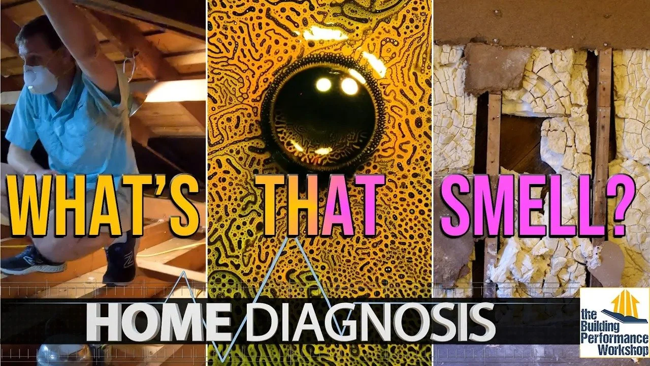 Science of Sick Building Syndrome &amp; Environmental Sensitivity- Ep 307 of HOME DIAGNOSIS TV Series