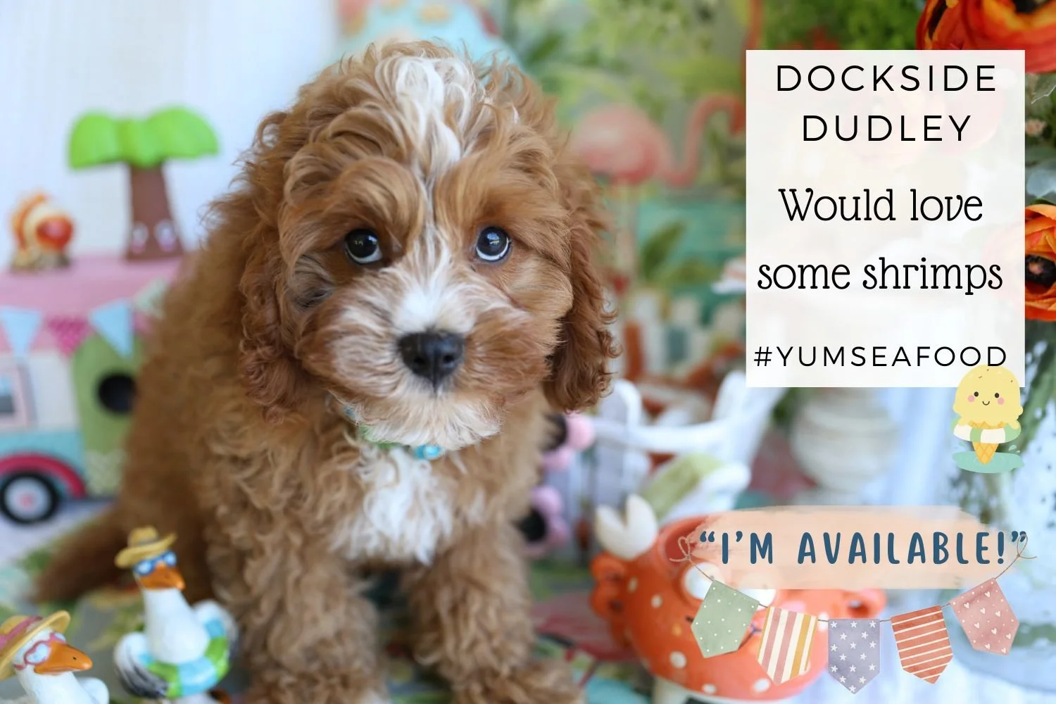 Foxglove Farm Dockside Dudley "I'm Available!"