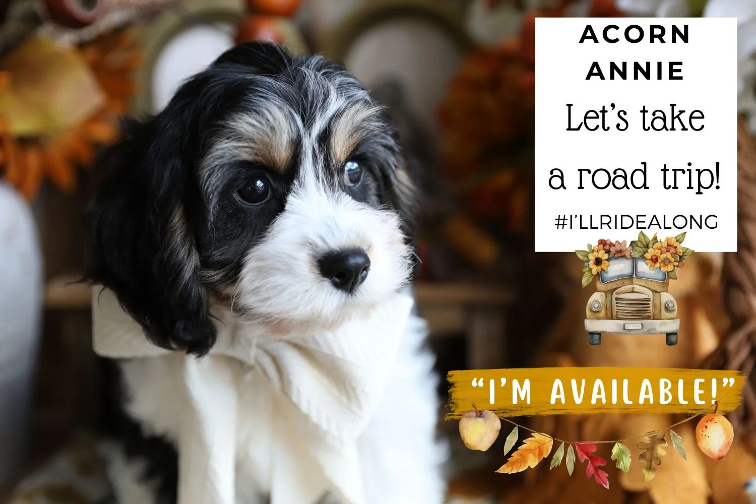 Foxglove Farm Acorn Annie "I'm Available!"