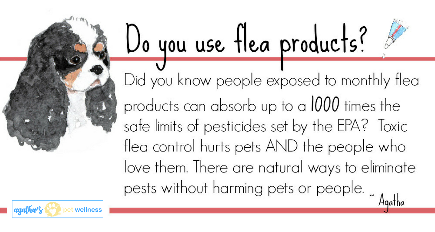 Agatha's Natural Flea Remedy.png