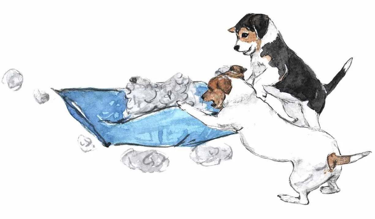 How to raise a puppy with manners.