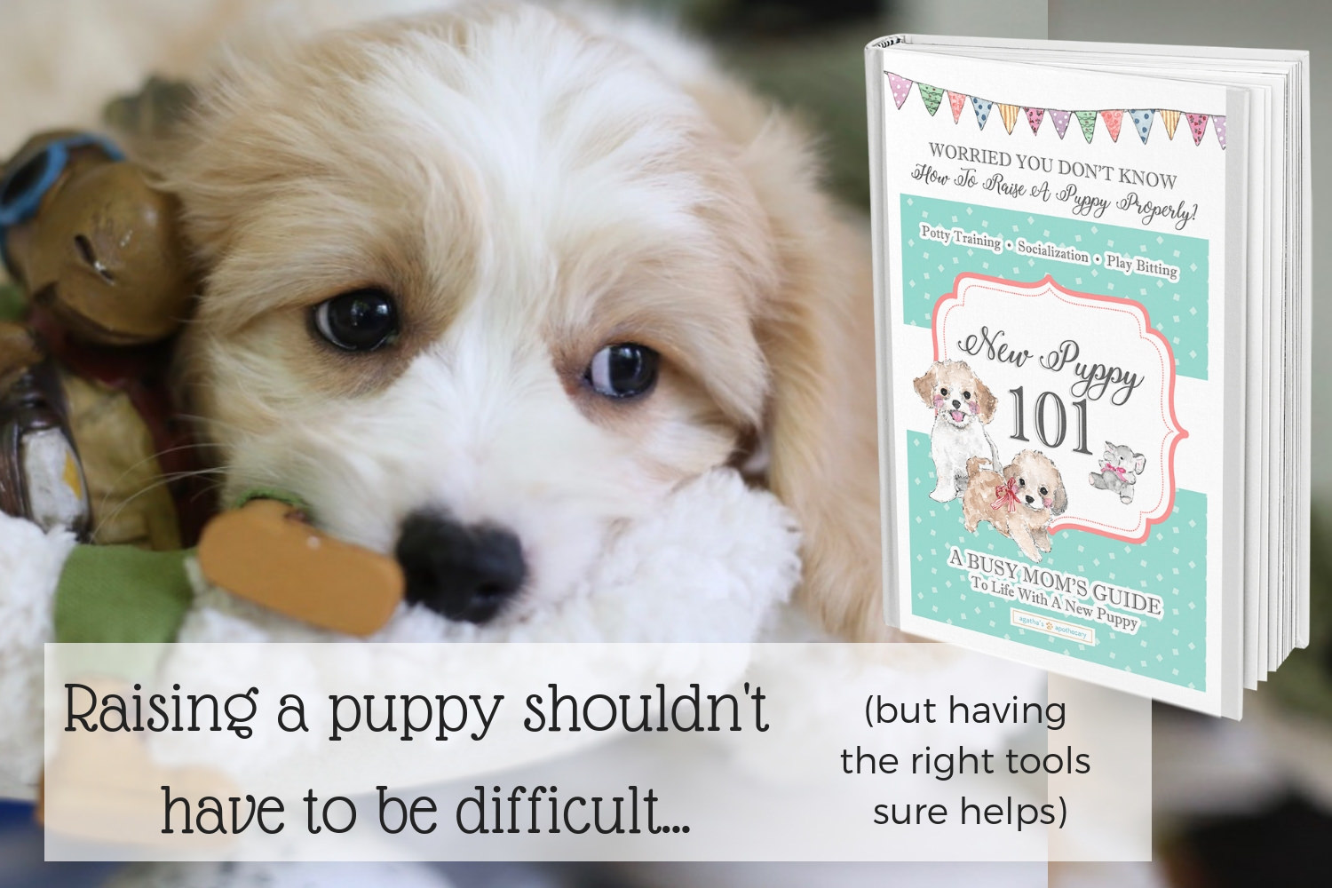 How to train a puppy ebook.jpg