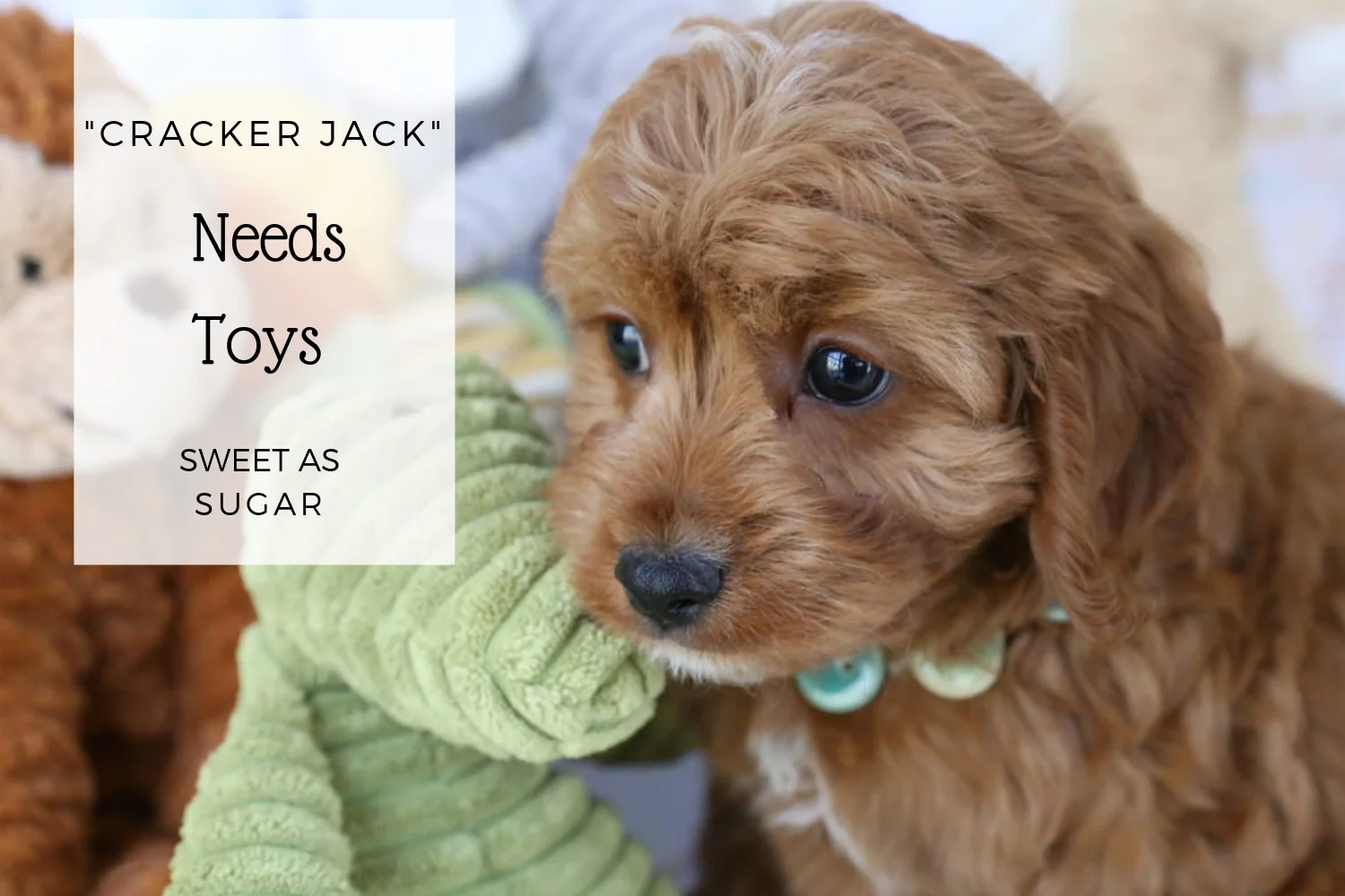 Happily Ever After II