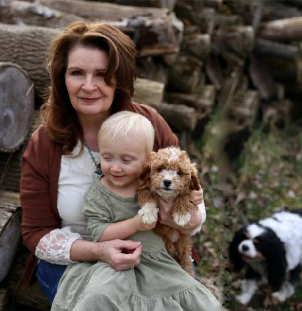 foxglove cavachon puppies