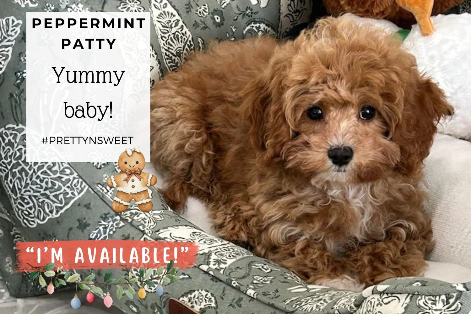 Peppermint Patty ))).jpg