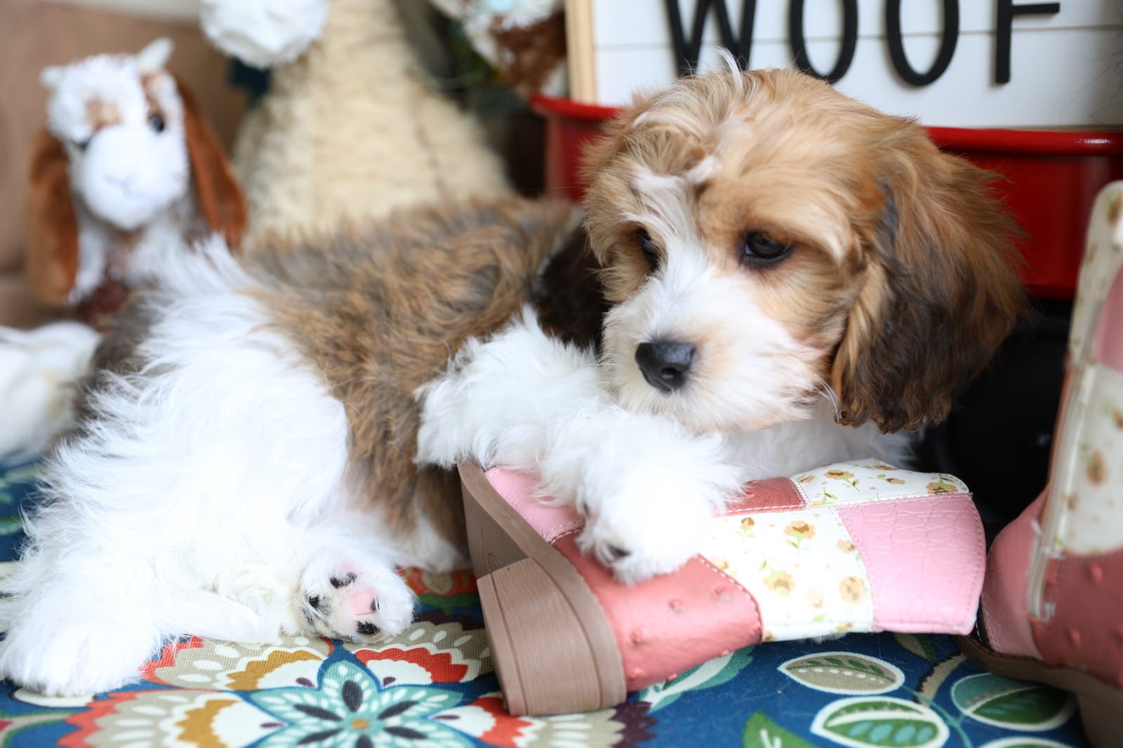 EB9A0052.jpg