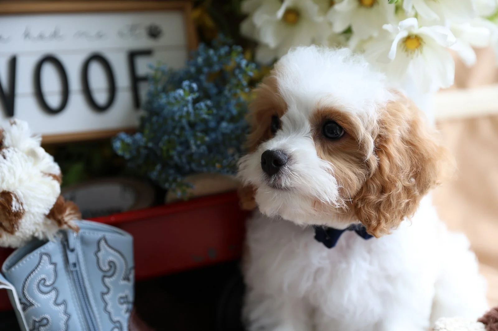 EB9A9262.jpg